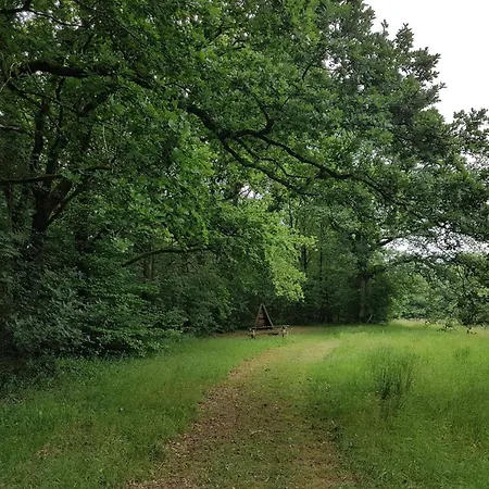 Cozy Retreat In Arrild - By Traum Hébergement de vacances *