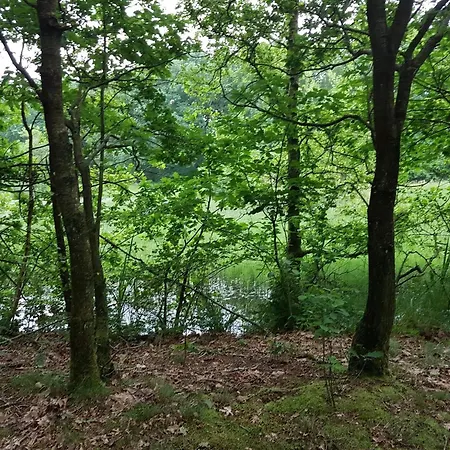 Cozy Retreat In Arrild - By Traum * Toftlund