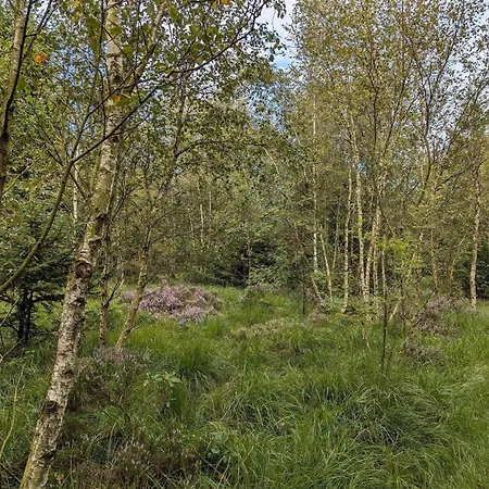 Cozy Retreat In Arrild - By Traum