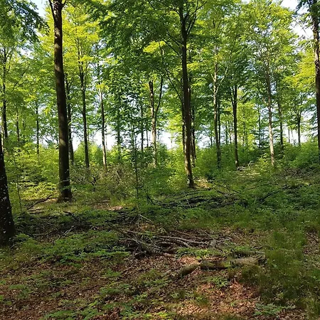 Cozy Retreat In Arrild - By Traum Hébergement de vacances *