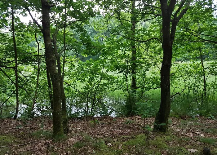 Cozy Retreat In Arrild - By Traum * Toftlund