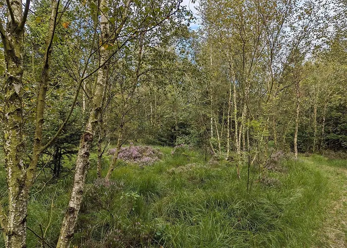 Cozy Retreat In Arrild - By Traum