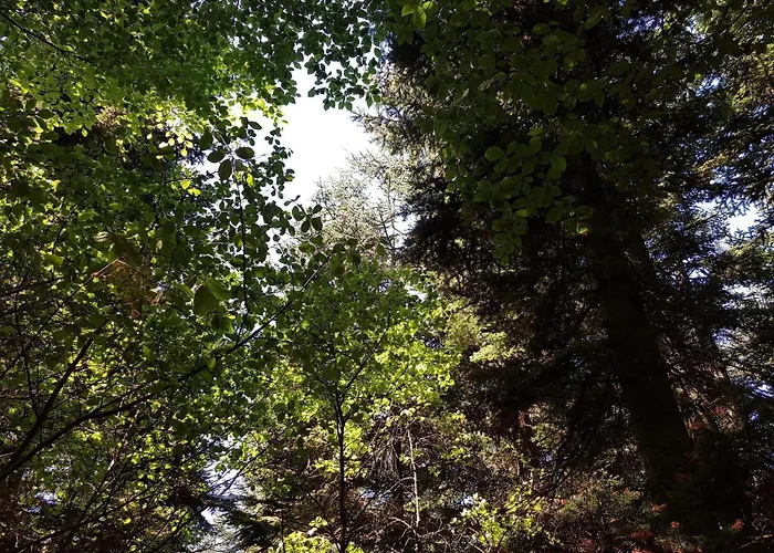 Cozy Retreat In Arrild - By Traum * Toftlund