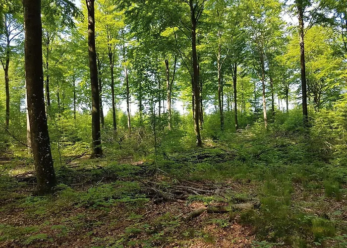 Cozy Retreat In Arrild - By Traum Dom wakacyjny *