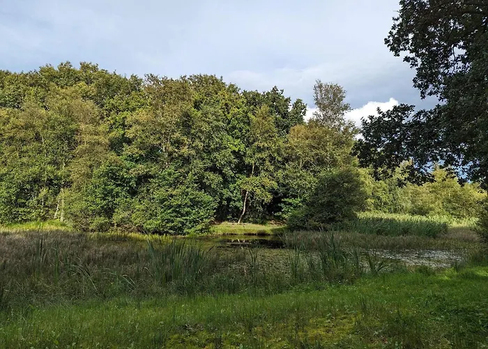 Cozy Retreat In Arrild - By Traum Dom wakacyjny Toftlund